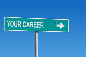 Career